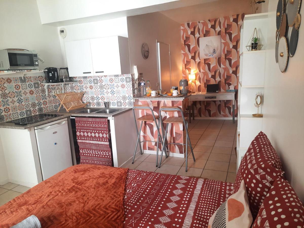 Le Terracotta Apartment Orleans Bagian luar foto